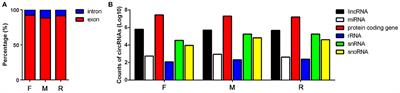 Comprehensive Characterization of Circular RNAs in Ovary and Testis From Nile Tilapia